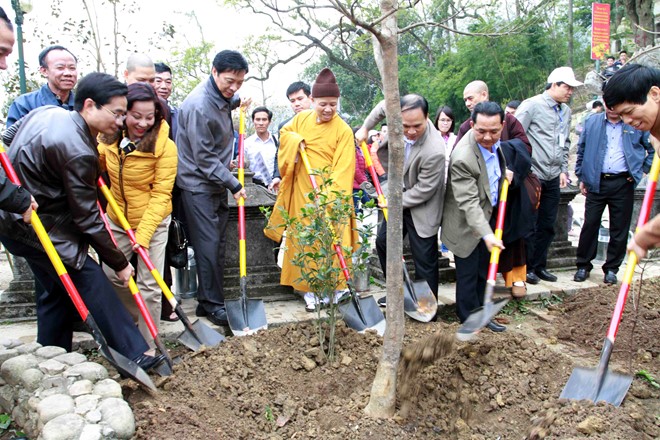 Quảng[-]Ninh[-]trồng[-]999[-]cây[-]mai[-]vàng[-]ở[-]chùa[-]Hoa[-]Hiên[-]-[-]Yên[-]Tử